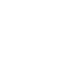 Bare Knuckle Fighting Championship